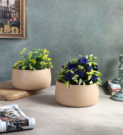 Biege Bowl Textured Planter Set of 2