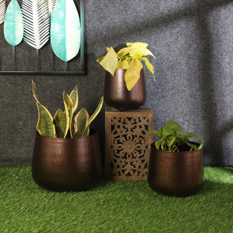 Copper Hammered Bowl Planter Set of 3