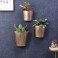 Wall & Hanging Planters