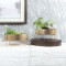 Round Gold Table Planter with Stand Set of 2