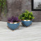 Apple Shape Metal Blue & Gold Planter Set of 2