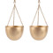 Hanging Capsule Planter Set of 2