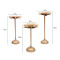 Small Six Flower Leaves Detachable Tealight Holder Set of 3