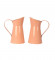 Pink Jug Pot Planter Set of 2