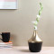 Black & Gold Wine Flower Pot