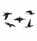 Black Aluminium Bird Set of 5