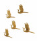 Flying Bird Aluminium Wall Decor Set of 5