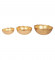 Gold Hammer Cut Urli Bowl Set of 3