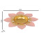 Baby Pink & Gold Flower Urli