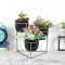 Triangle Stand Planter Gold & Black