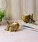 Aluminium Fish Tealight Holder Set of 2