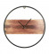 Black & Brown Round Wall Clock